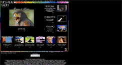 Desktop Screenshot of giovannisalici.com